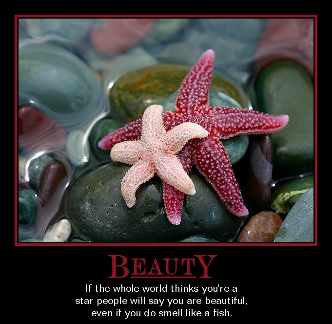 Photography by KarenC for DesignCrowd (Community Contests) | Design #9025864