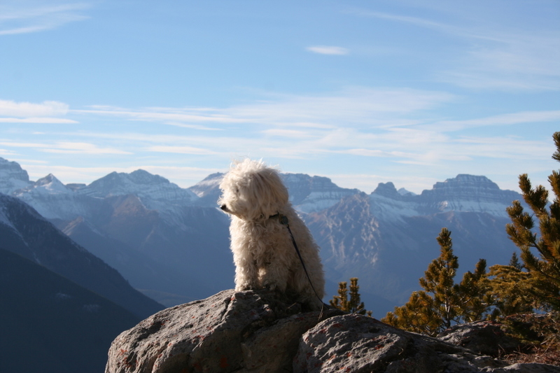 Photography by CookieMunster for DesignCrowd (Community Contests) | Design #9020016