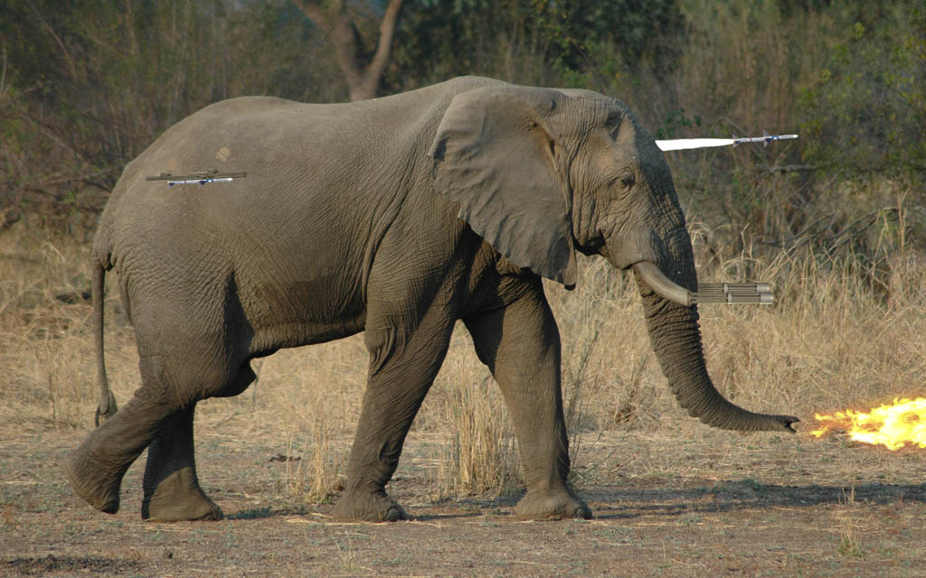 Photoshop Design by TremeX for DesignCrowd (Community Contests) | Design #9018374