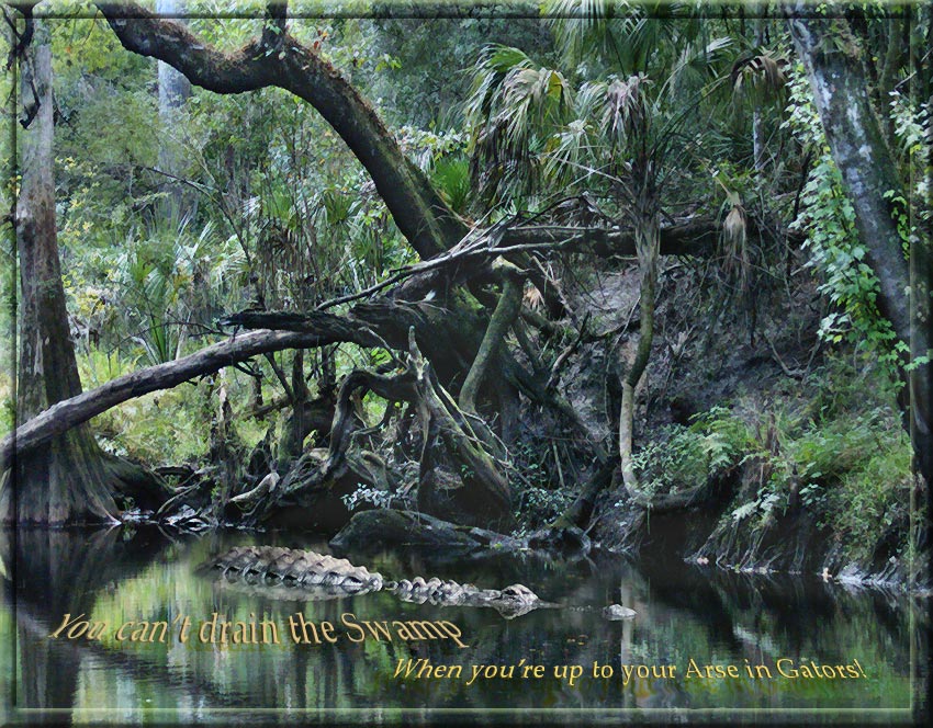 Photographie par cakeladybarb pour DesignCrowd (Community Contests) | Design #9025890