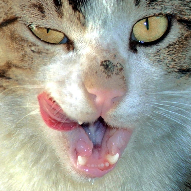 Photography by DAWARS for DesignCrowd (Community Contests) | Design #9020040