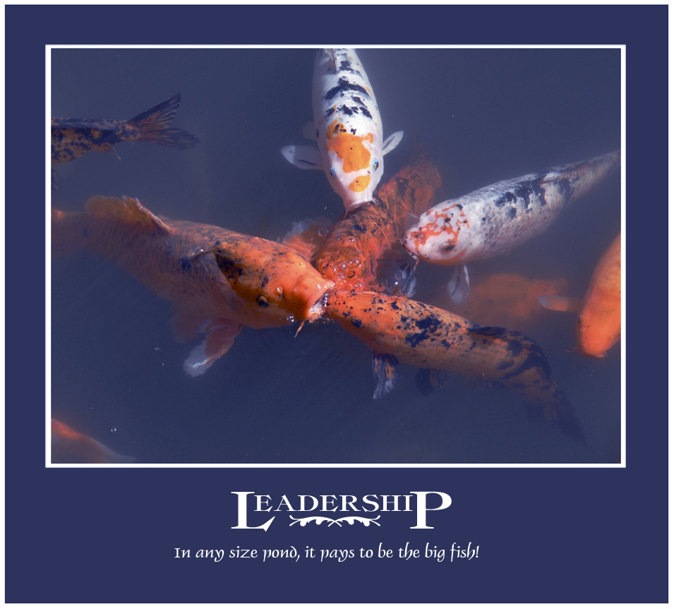 Photography by cshutt for DesignCrowd (Community Contests) | Design #9025905