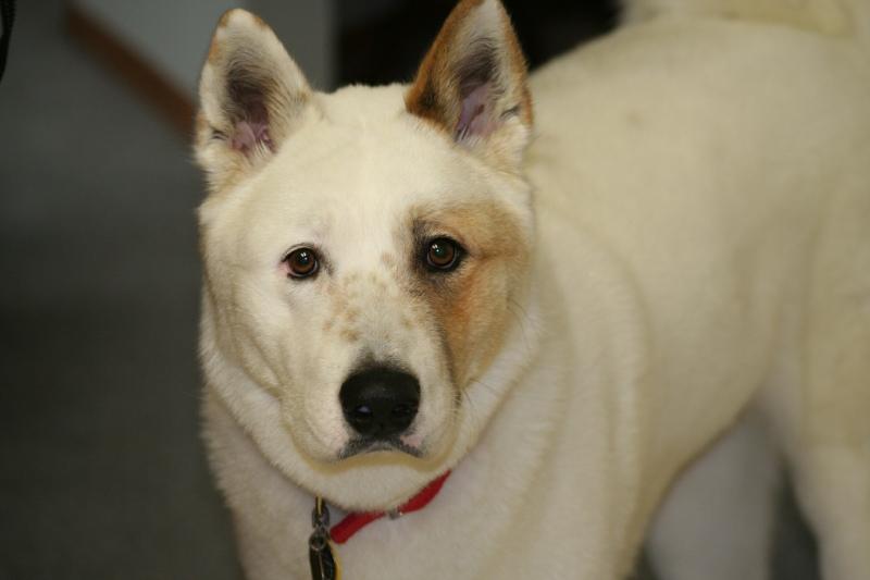 Photography by jsayreallen for DesignCrowd (Community Contests) | Design #9020268