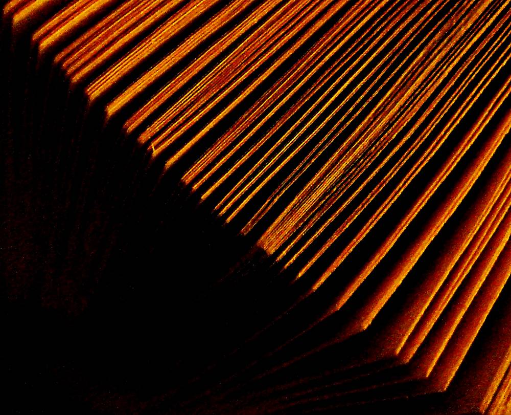 Photographie par Berilu pour DesignCrowd (Community Contests) | Design #9023165