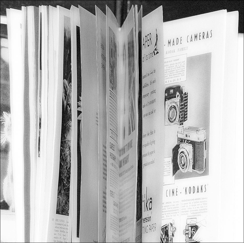 Photography by Larvice for DesignCrowd (Community Contests) | Design #9023159