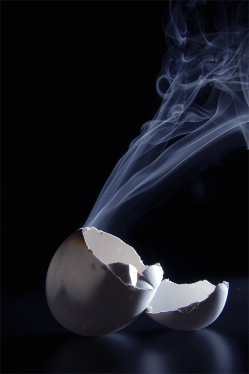 Photography by chatwin68 for DesignCrowd (Community Contests) | Design #9025757