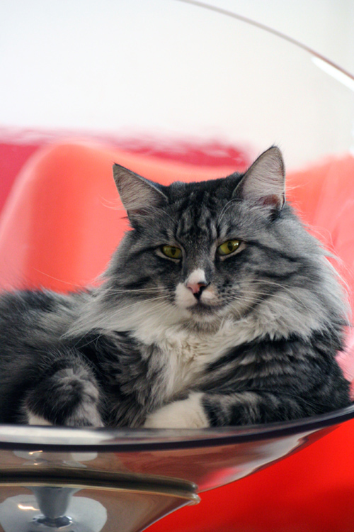 Photography by 123lezy for DesignCrowd (Community Contests) | Design #9020096