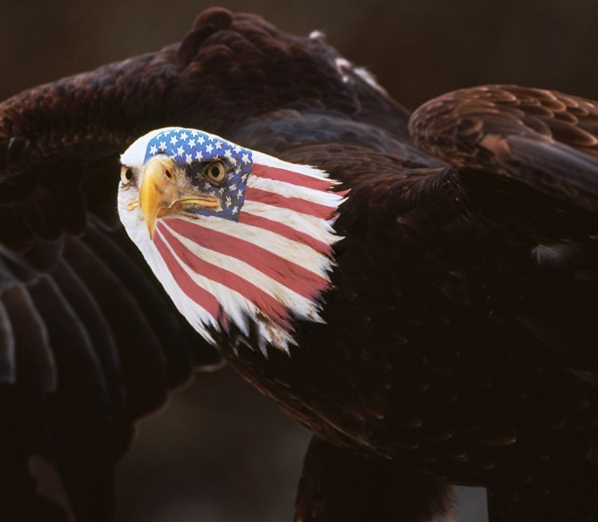 Diseño de Photoshop por inshaala para DesignCrowd (Community Contests) | Diseño #9027285