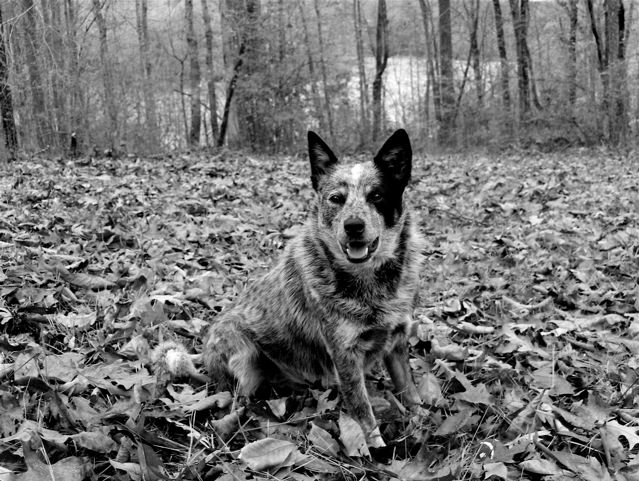 Fotografie von brick365 für DesignCrowd (Community Contests) | Design #9020250