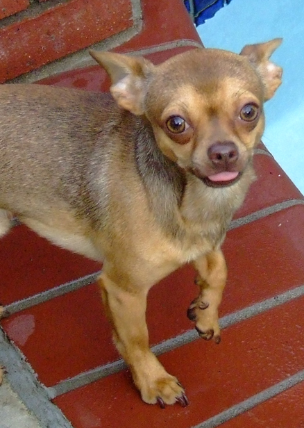 Photography by PatrickRyan for DesignCrowd (Community Contests) | Design #9020097