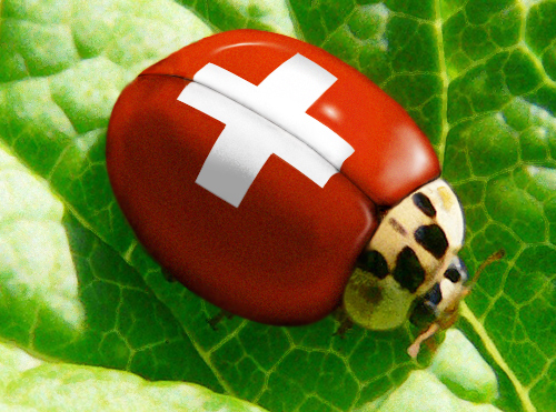 Design Photoshop par Anabole pour DesignCrowd (Community Contests) | Design #9027373