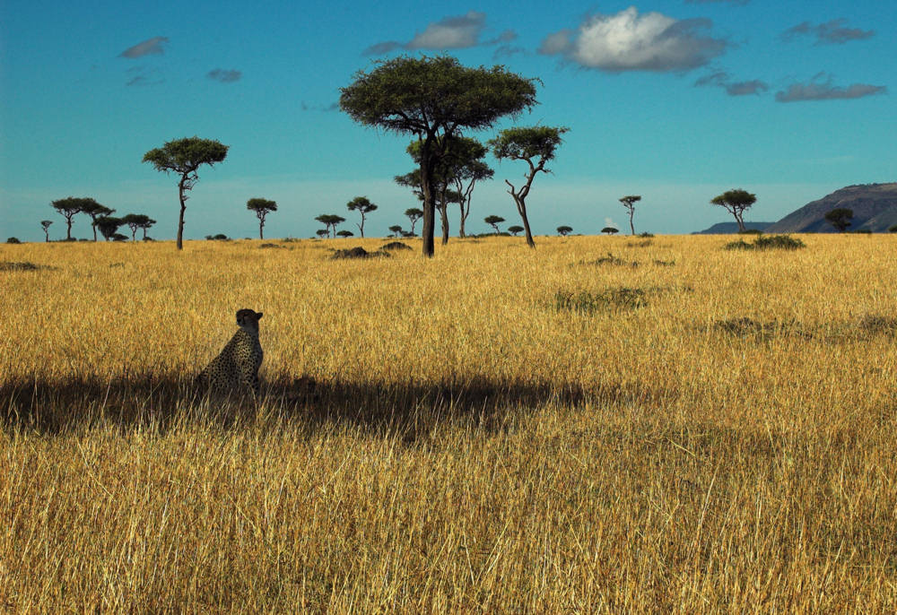 Photography by unit25 for DesignCrowd (Community Contests) | Design #9025267