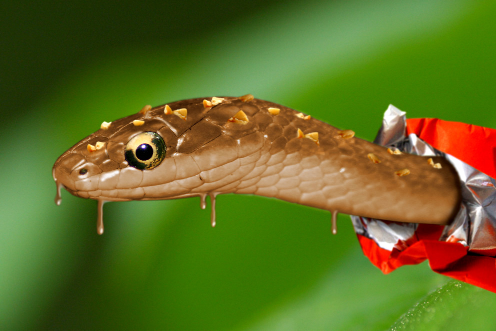 Design Photoshop par janhus pour DesignCrowd (Community Contests) | Design #9026052