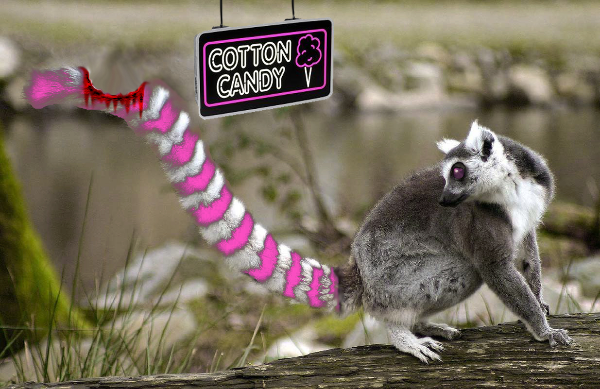 Design Photoshop par aff1993 pour DesignCrowd (Community Contests) | Design #9026062