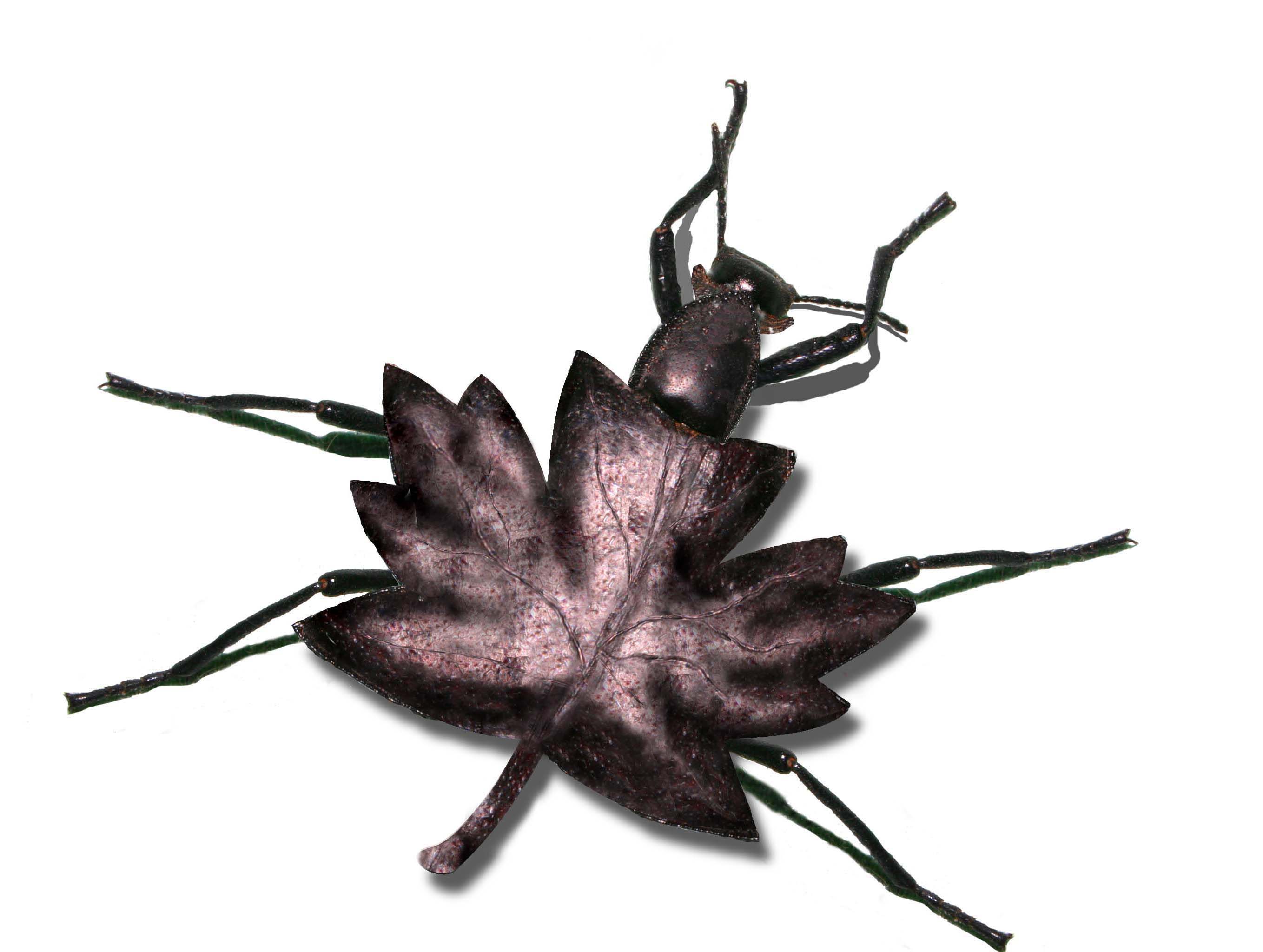 Photoshop Design by argus456 for DesignCrowd (Community Contests) | Design #9027419