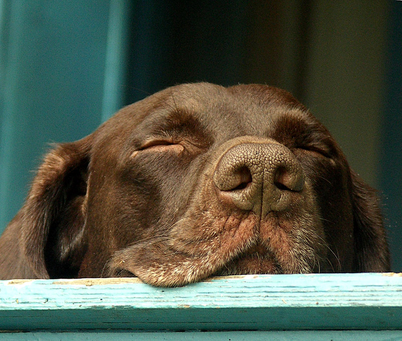 Photography by ruxa2na for DesignCrowd (Community Contests) | Design #9020162