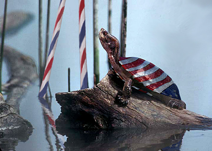 Photoshop-Design von Lacenflanl für DesignCrowd (Community Contests) | Design #9027475