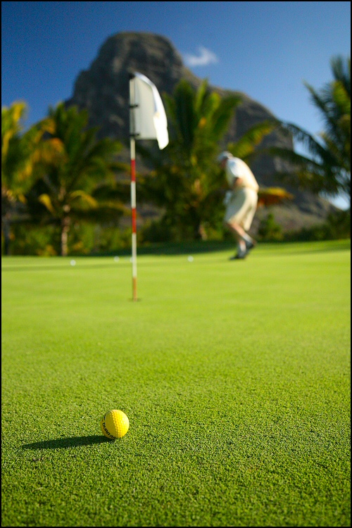 Photography by Juicer for DesignCrowd (Community Contests) | Design #9029456