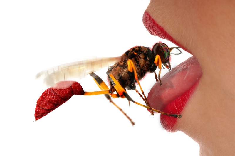 Design Photoshop par TransmissionDump pour DesignCrowd (Community Contests) | Design #9026071