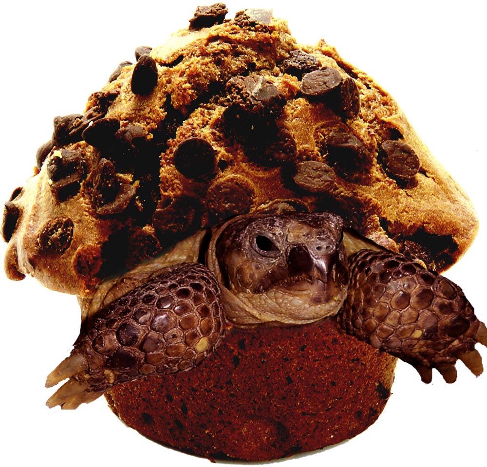 Design Photoshop par LadyLexx pour DesignCrowd (Community Contests) | Design #9026068