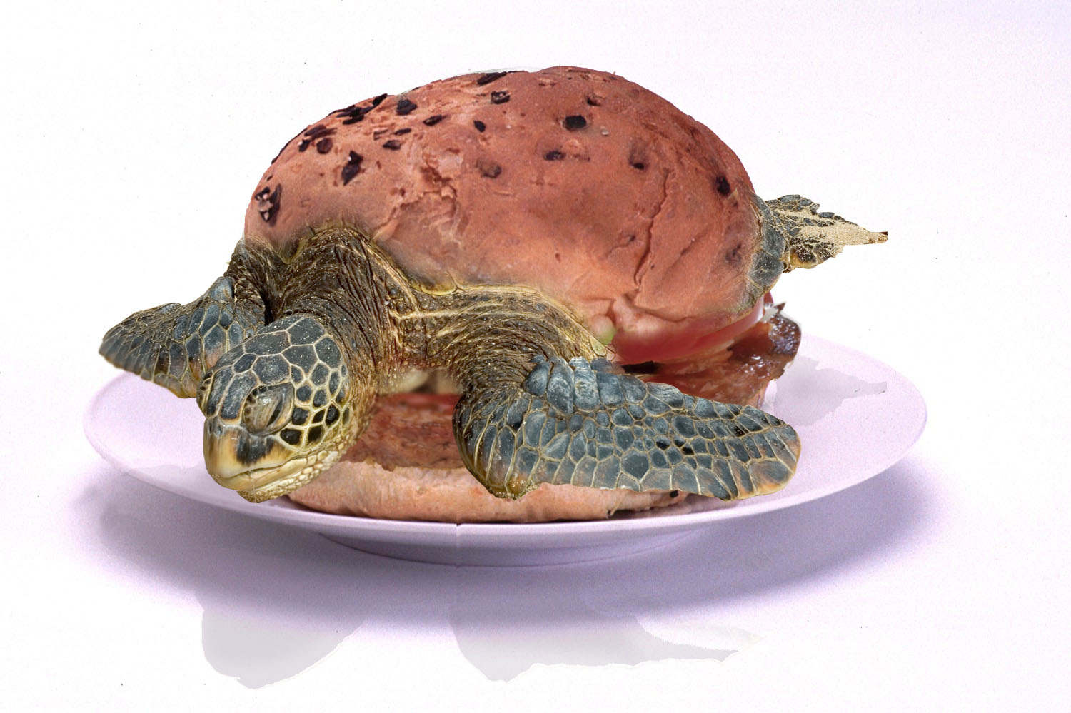 Design Photoshop par marijnpeter pour DesignCrowd (Community Contests) | Design #9026104