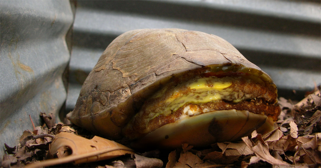 Diseño de Photoshop por znxjanx para DesignCrowd (Community Contests) | Diseño #9026082