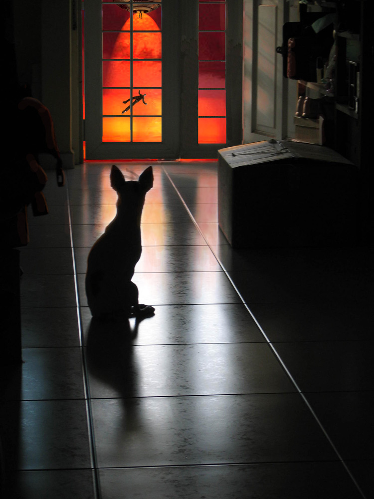 Photoshop-Design von Lacenflanl für DesignCrowd (Community Contests) | Design #9022025