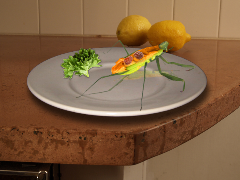 Photoshop Design by sitrop2001 for DesignCrowd (Community Contests) | Design #9026131