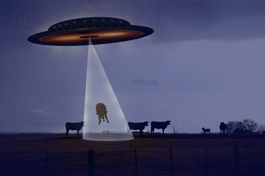 Photoshop-Design von katmgck für DesignCrowd (Community Contests) | Design #9022080