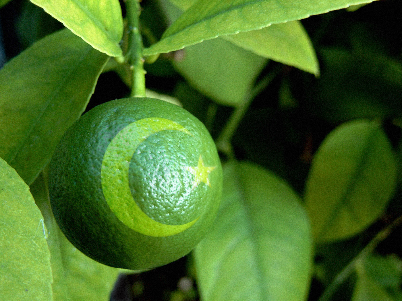 Design Photoshop par sherif1000 pour DesignCrowd (Community Contests) | Design #9027593