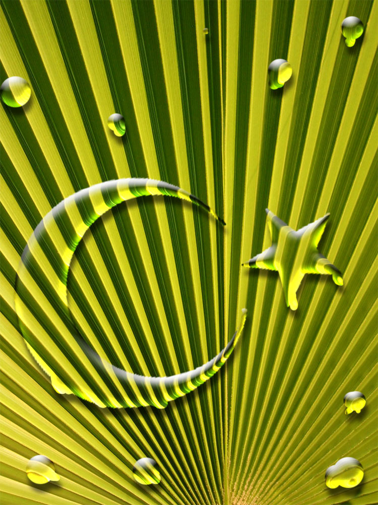 Photoshop Design by result for DesignCrowd (Community Contests) | Design #9027647