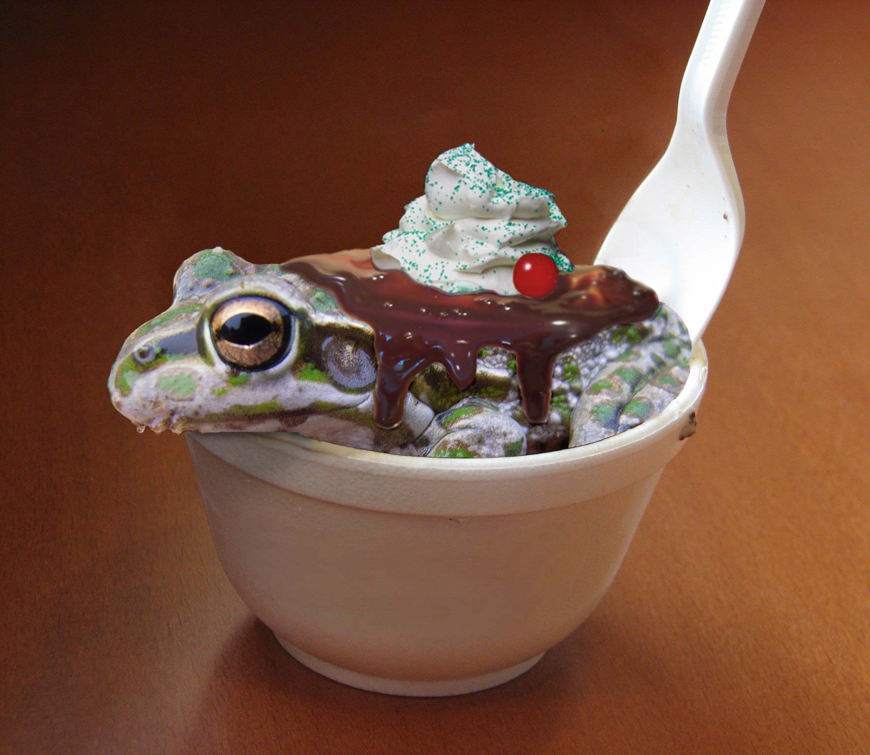 Diseño de Photoshop por Mokey117 para DesignCrowd (Community Contests) | Diseño #9026090