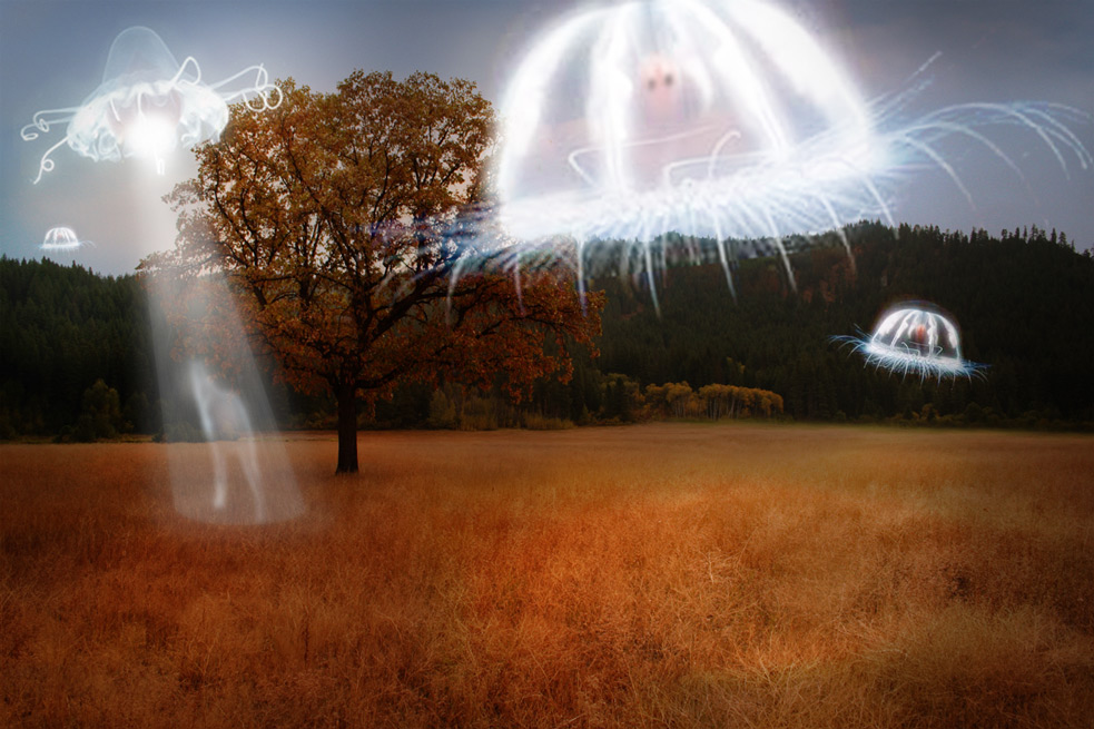 Design Photoshop par Stadsman pour DesignCrowd (Community Contests) | Design #9022057