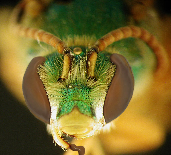 Diseño de Photoshop por DarkSlim para DesignCrowd (Community Contests) | Diseño #9026169