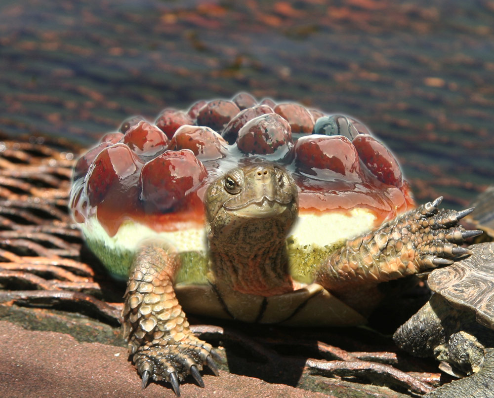 Photoshop Design by Saddy10 for DesignCrowd (Community Contests) | Design #9026205