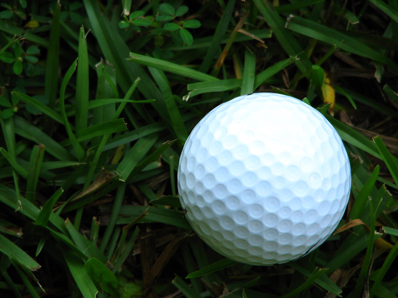 Photography by rickyticky22 for DesignCrowd (Community Contests) | Design #9025362