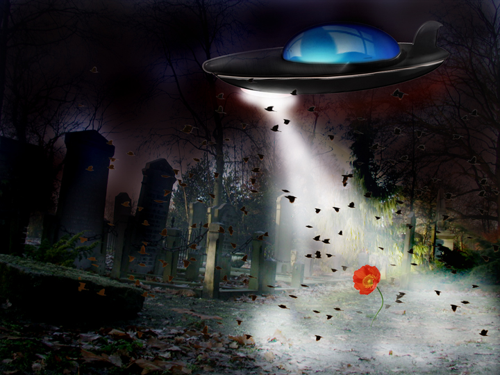 Diseño de Photoshop por Tippy7 para DesignCrowd (Community Contests) | Diseño #9022169
