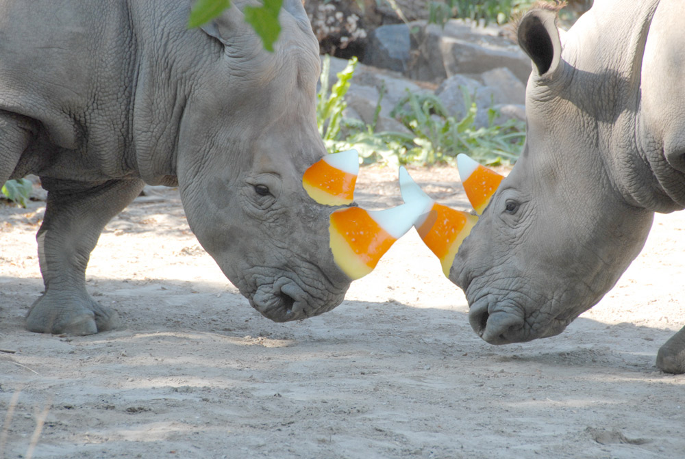 Photoshop-Design von cshutt für DesignCrowd (Community Contests) | Design #9026275