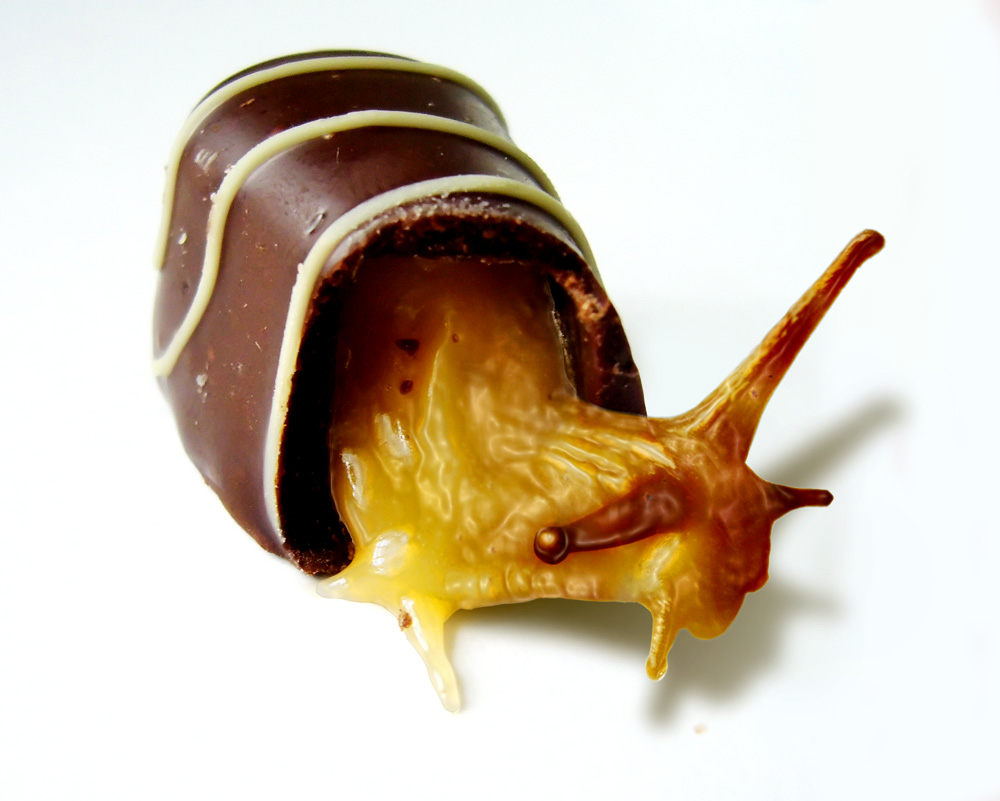 Photoshop Design by A1A1L1O1A1A1M2 for DesignCrowd (Community Contests) | Design #9026252