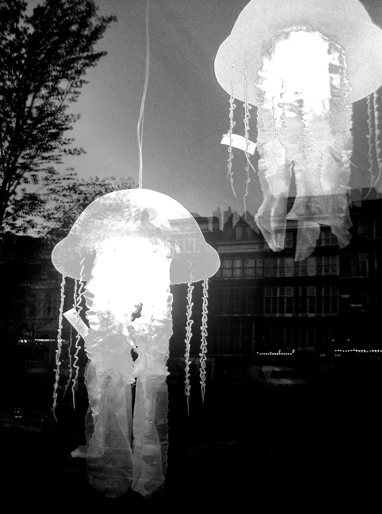 Fotografie von Cendira für DesignCrowd (Community Contests) | Design #9024410