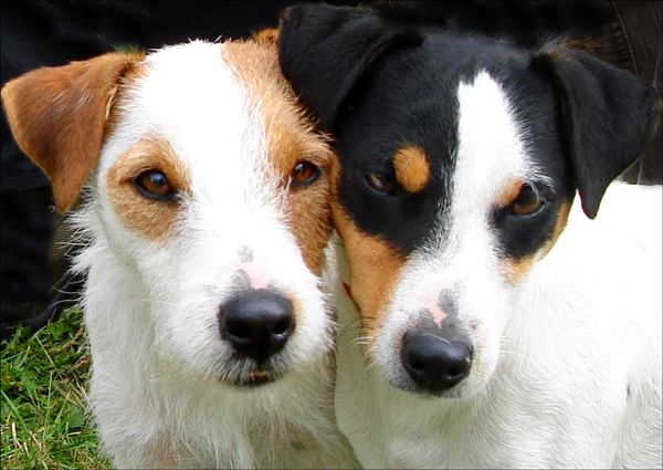 Fotografie von VikiBond für DesignCrowd (Community Contests) | Design #9020450