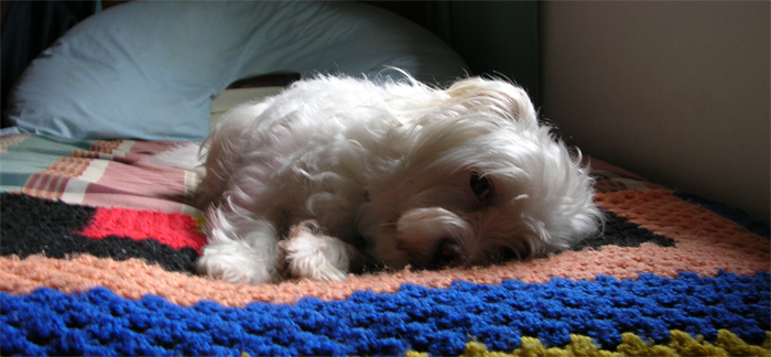 Photographie par photoenthusa pour DesignCrowd (Community Contests) | Design #9020390