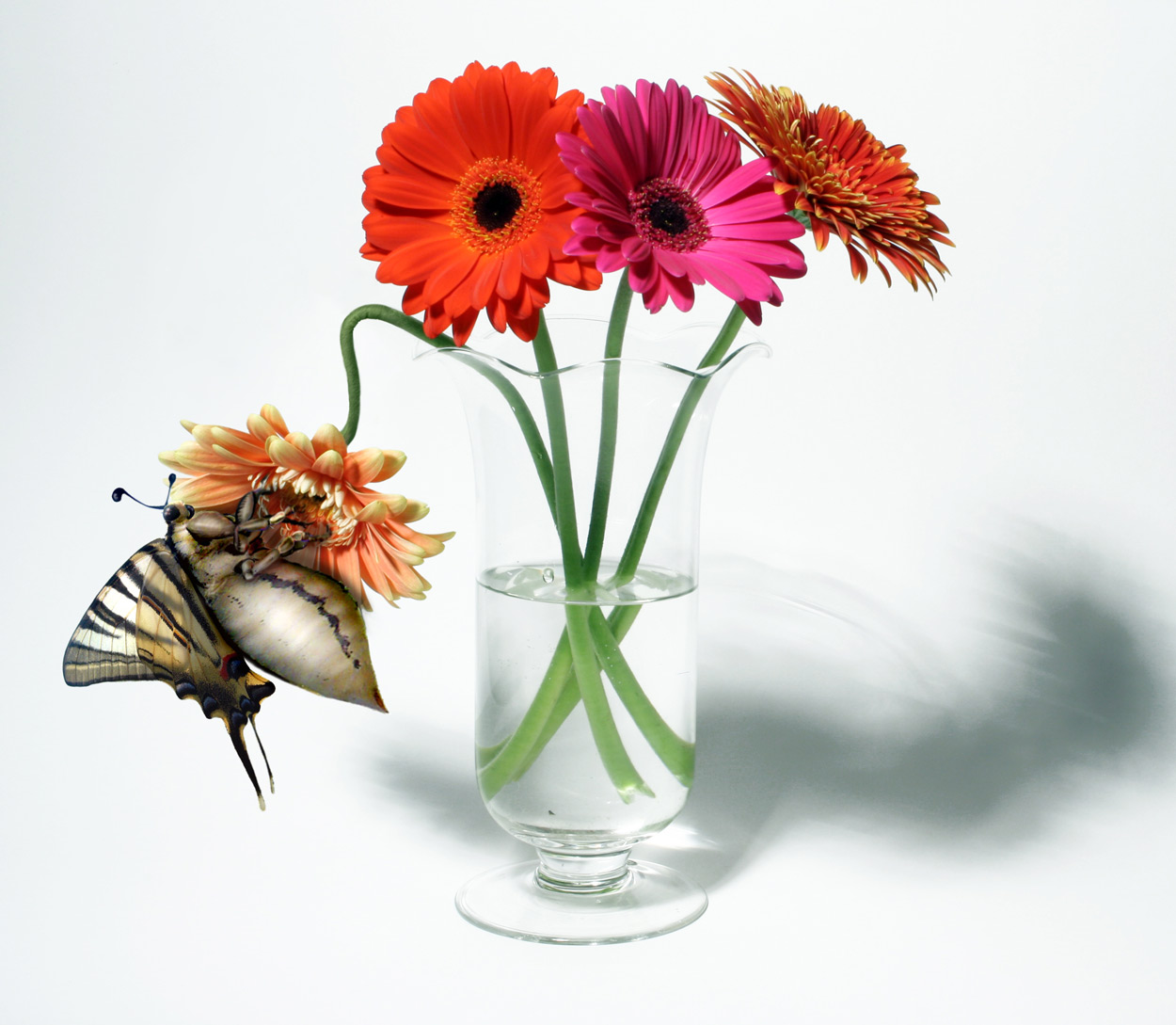 Photoshop Design by JoBeeOne for DesignCrowd (Community Contests) | Design #9029398