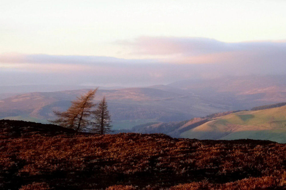 Photographie par Massie pour DesignCrowd (Community Contests) | Design #9025319