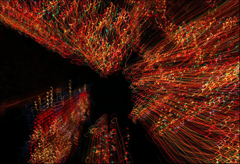 Photography by cakeladybarb for DesignCrowd (Community Contests) | Design #9024437