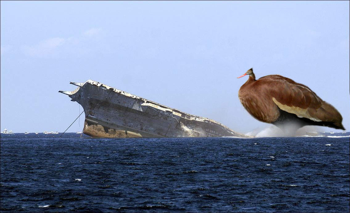 Photoshop-Design von TONYHEART für DesignCrowd (Community Contests) | Design #9029413