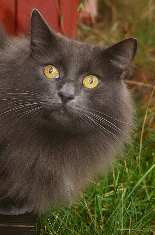 Photographie par Anabole pour DesignCrowd (Community Contests) | Design #9020295