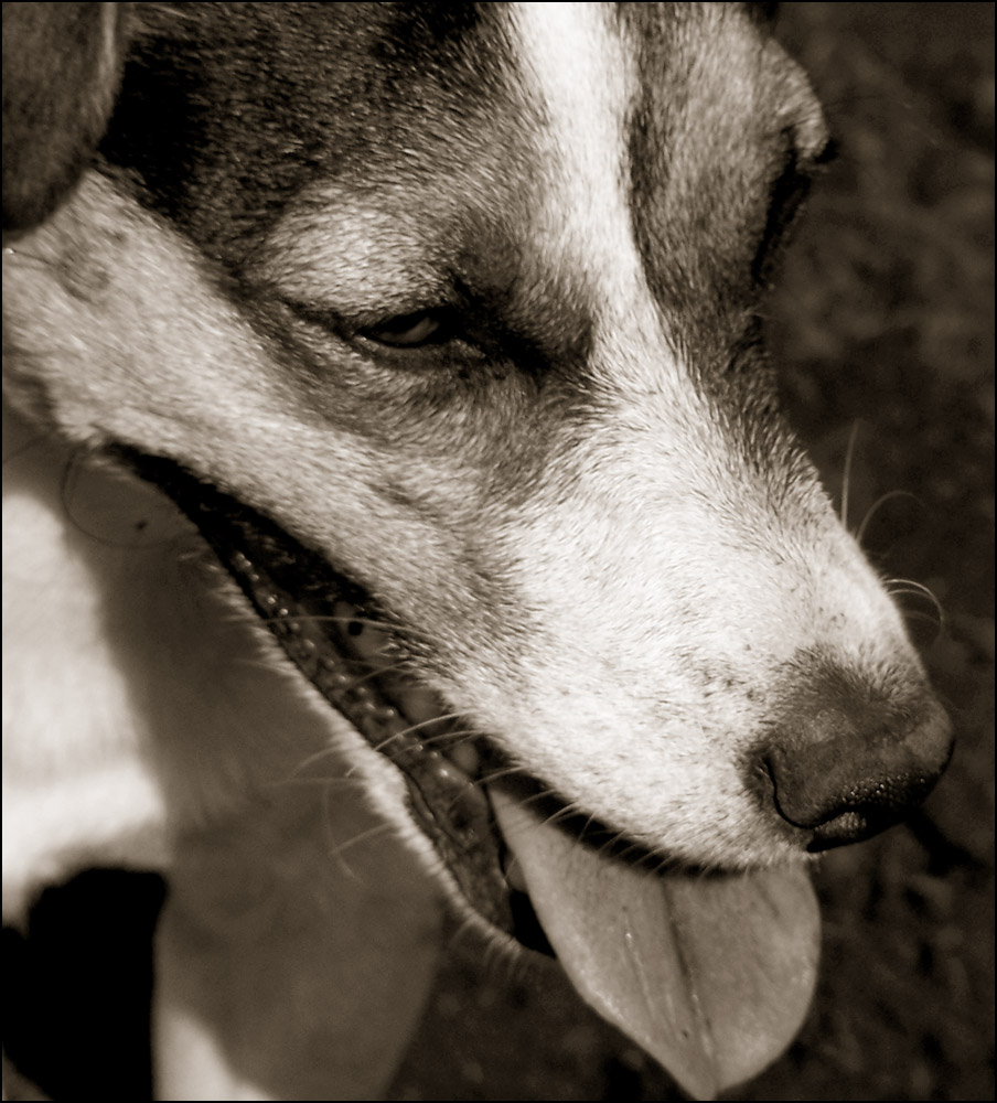 Photography by indianajames for DesignCrowd (Community Contests) | Design #9020392