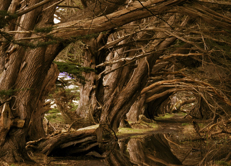 Fotografía por wildography para DesignCrowd (Community Contests) | Diseño #9025409
