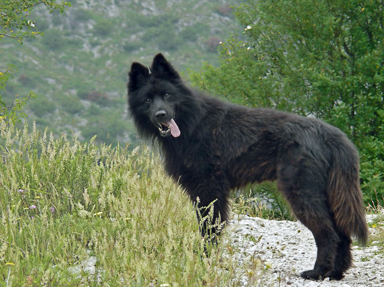 Fotografía por oldmur para DesignCrowd (Community Contests) | Diseño #9020535